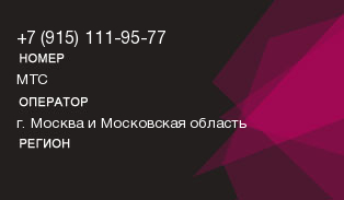 9151119577
